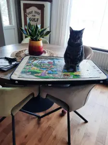 Jacquelien 03 Het is af